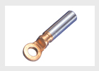 lugs-22-s