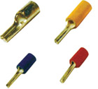 pin-type
